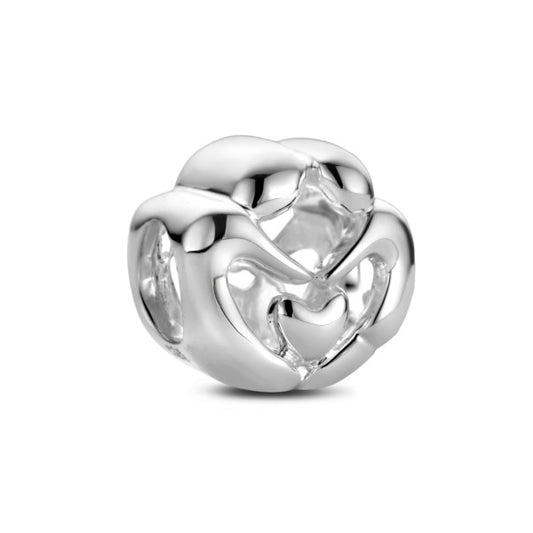 Rosa Di Luca zilver bedel together