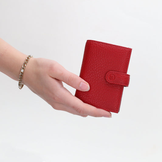 Beagles lizaso creditcard etui rood